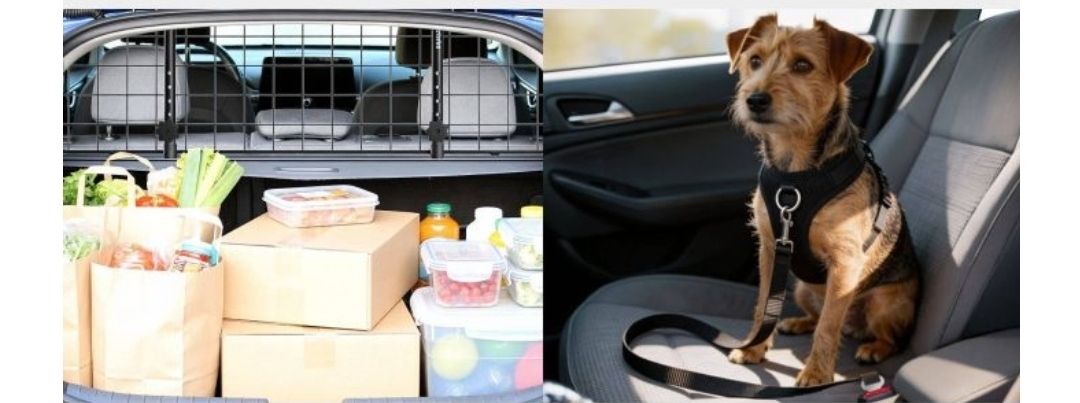 Gabbie, trasporto & Sicurezza: Hundeschutzgitter Balu – Nuovo (secondo la descrizione) da Rotkreuz venduto da NextChance 3