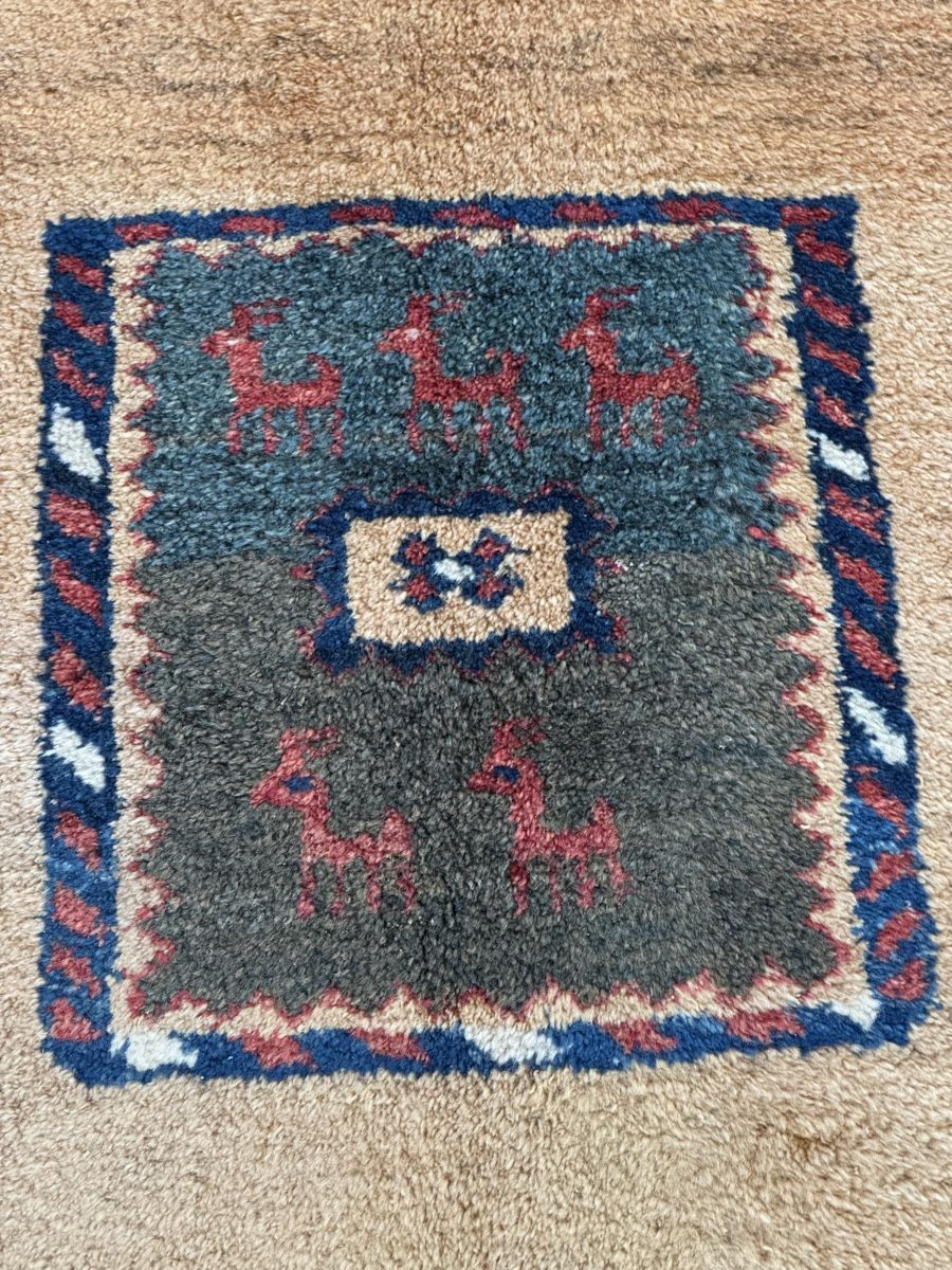 Tapis: Orientteppich handgeknüpft Gabbeh  – Neuf (Voir description) à Liestal par galerie_nategh 6