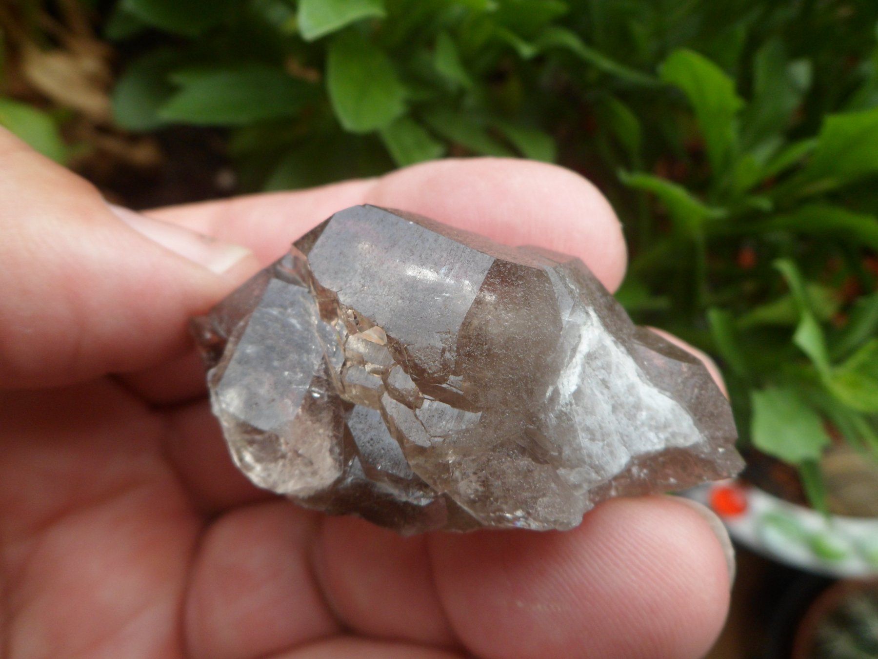 Minerali & Pietre curative: Rauchquarz Gwindel Schweiz – Usato da Affoltern am Albis venduto da Fossil60 9