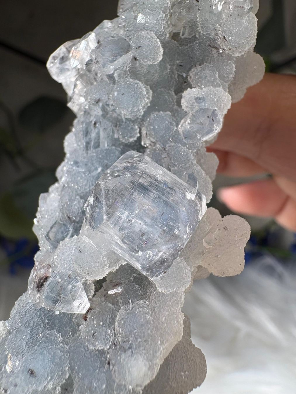 Minerali & Pietre curative: Grüner Chalcedon-Stalaktit mit Apophyllit – Nuovo e nell'imballaggio originale da Neuheim venduto da m.hald 4