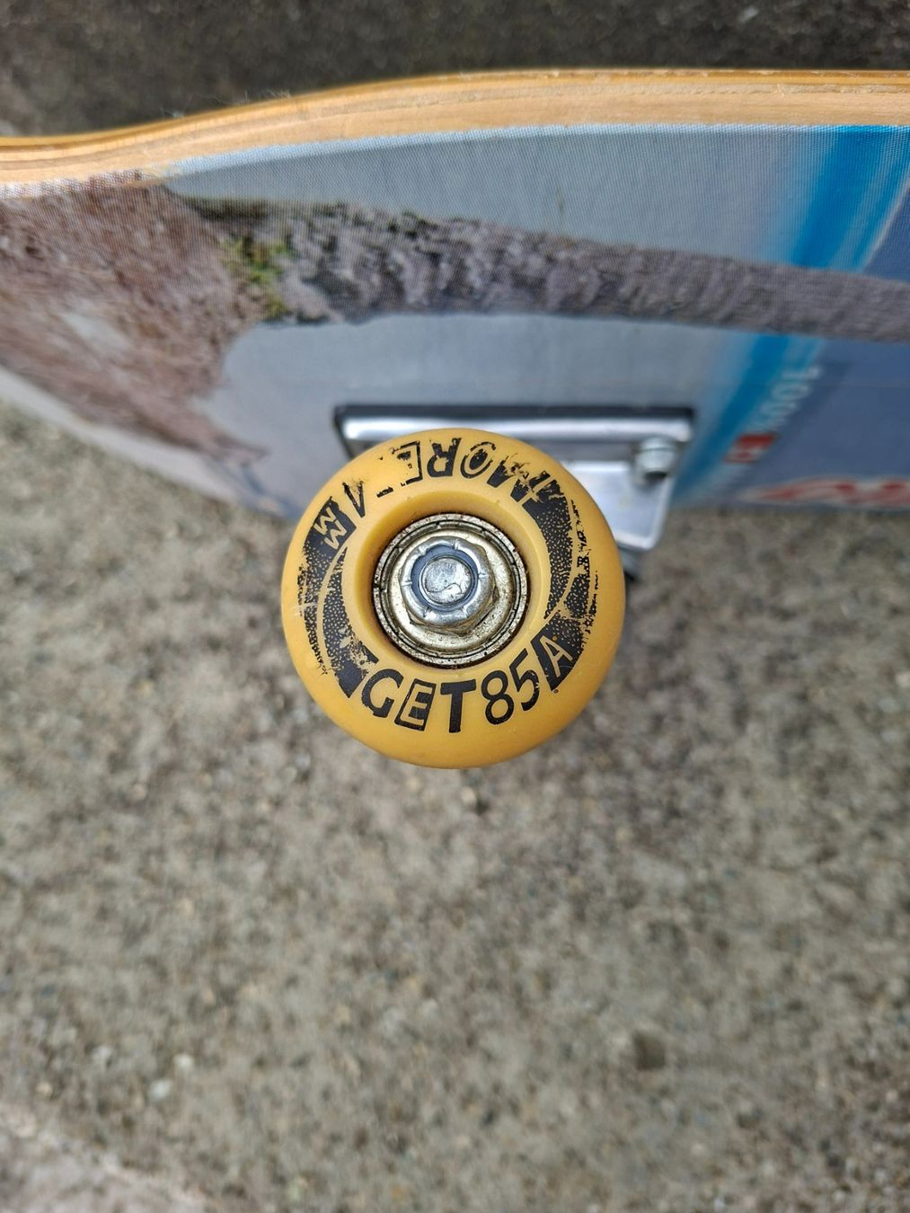 Skateboards: Skateboard – Usato da Lohn SH venduto da Zwierbel 2