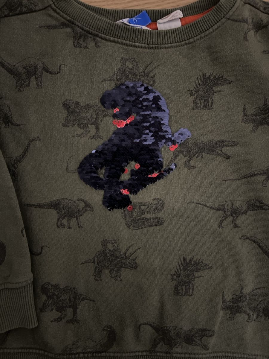 Maglioni & Felpe: Cooler Dino Pulli Pullover olivgrün Gr. 98-104 – Usato da Oensingen venduto da katepe 2