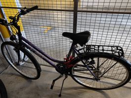 Damen Velo