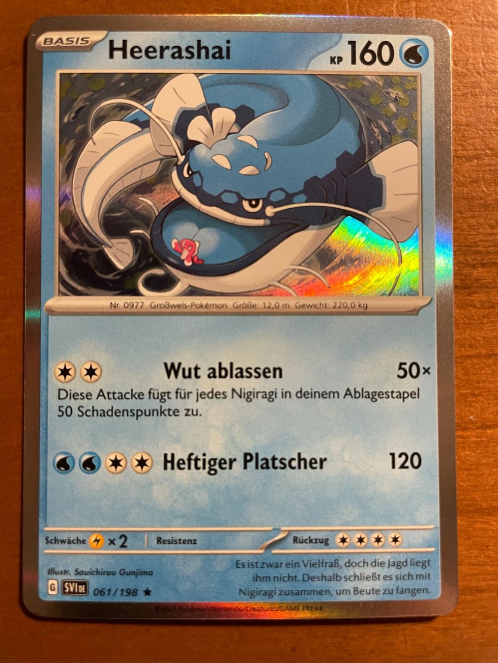 Pokémon Carte collezionabili: Pokemon Heerashai Holo (Versand gratis) – Nuovo (secondo la descrizione) da Chur venduto da Angerson