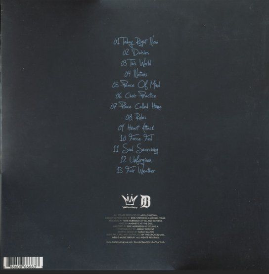 Dischi in vinile: Vinyle Apollo Brown & Ugly Heroes - Everything Between -Rare – Usato da St-Prex venduto da kro_7jxt 1