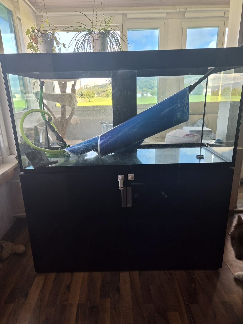 Eheim Aquarium: 450 liter Aquarium mit Aussenfilter – D'occasion à Wikon par casares 3