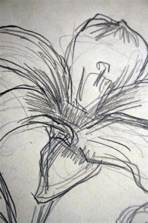 Bücher: ERNST BUCHNER (Schweiz, 1886-1951) – Gebraucht aus Bern von Arting 7