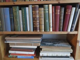 Etwa 150 Bücher Helvetica, dabei auch viele sehr alte Bücher