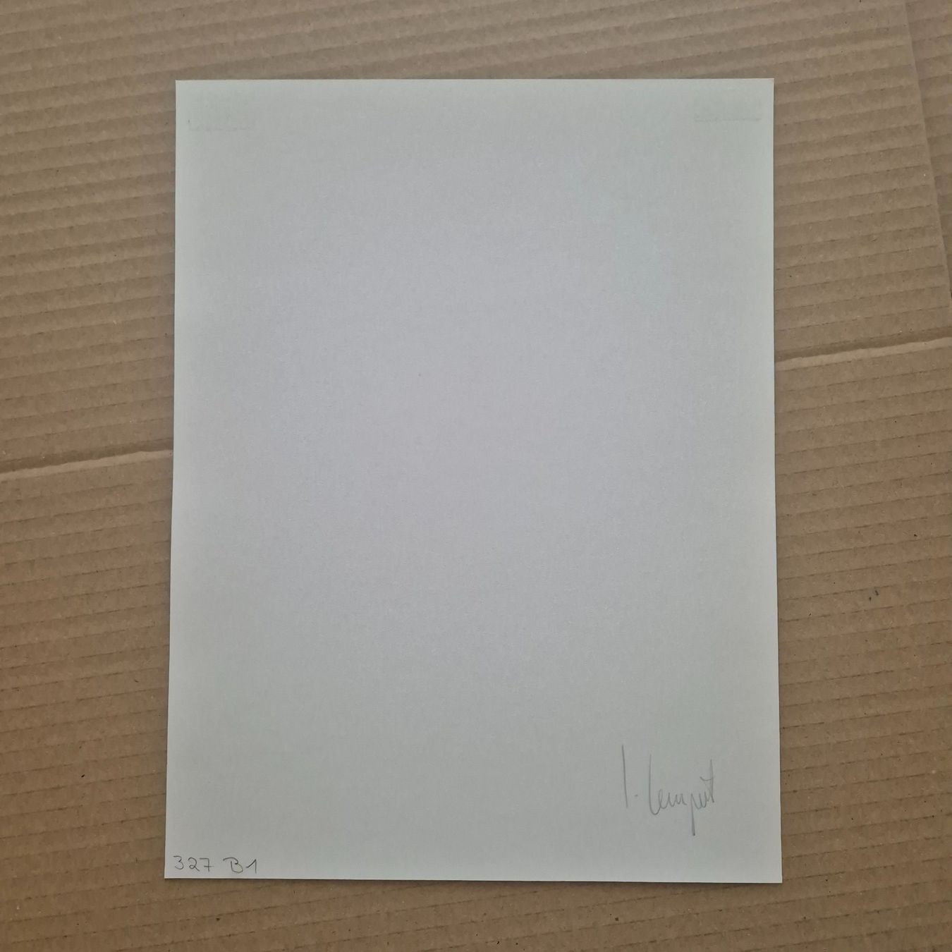 Foto & Immagini: Jochen Lempert original photo – Usato da Zürich venduto da MoPoMo 3