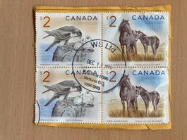 Kanada 2025 4er-Block 2$ Falke Pferd auf Papier gestempelt
