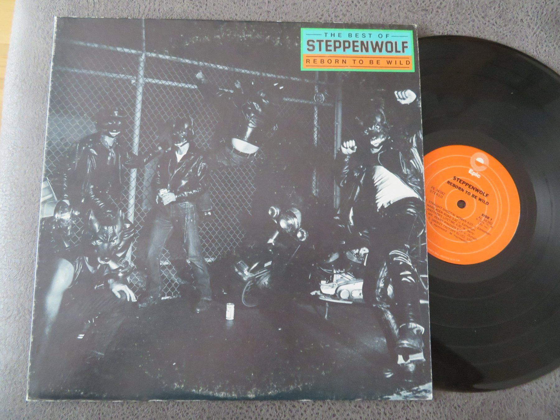 Dischi in vinile: STEPPENWOLF REBORN TO BE WILD – Nuovo (secondo la descrizione) da Zürich venduto da max_cp5f