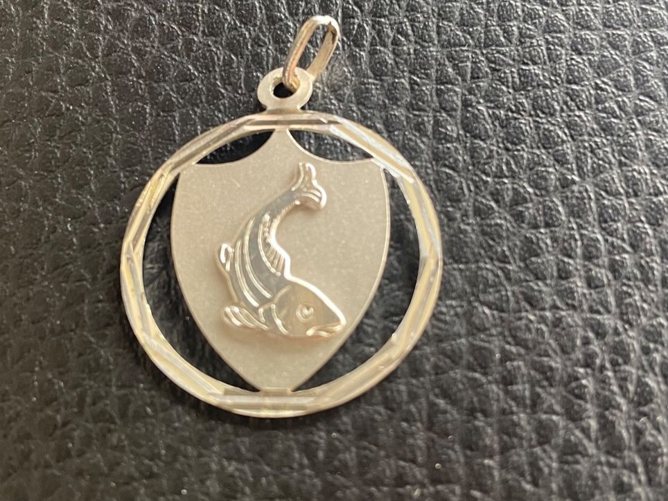 Medaillen: Silbermedaille - Fisch - Silver – Gebraucht aus Minusio von Pink222 1