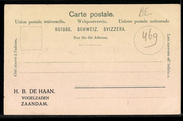 Cartes postales: Grindelwald, Ortsansicht mit Chalet und  – D'occasion à Berlin par bartko-reher 1
