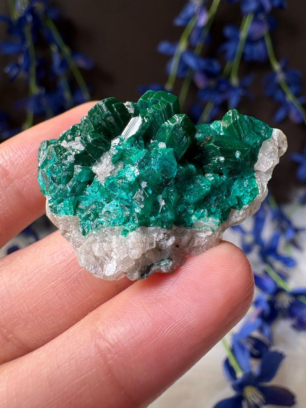 Mineralien & Heilsteine: Dioptas – Neu (gemäss Beschreibung) aus Neuheim von m.hald