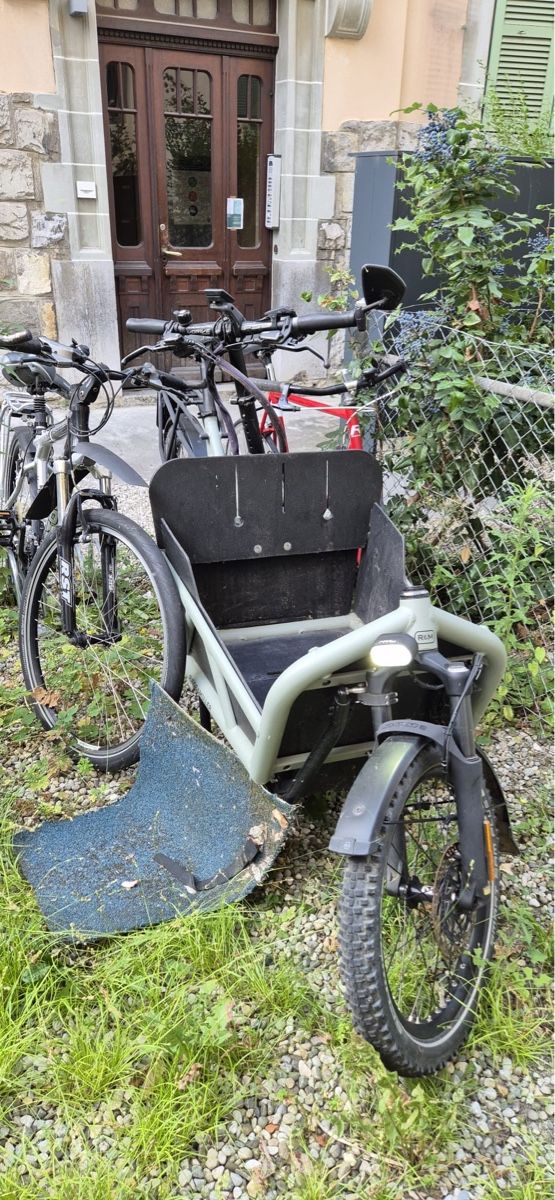 Riese & Müller Biciclette: Velo cargo riese and muller load 60 – Usato da Lausanne venduto da TelmaLouise70 1
