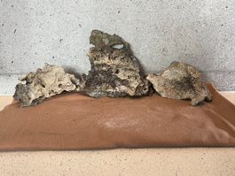 3 Naturfelsen für Aquarium 9.5KG