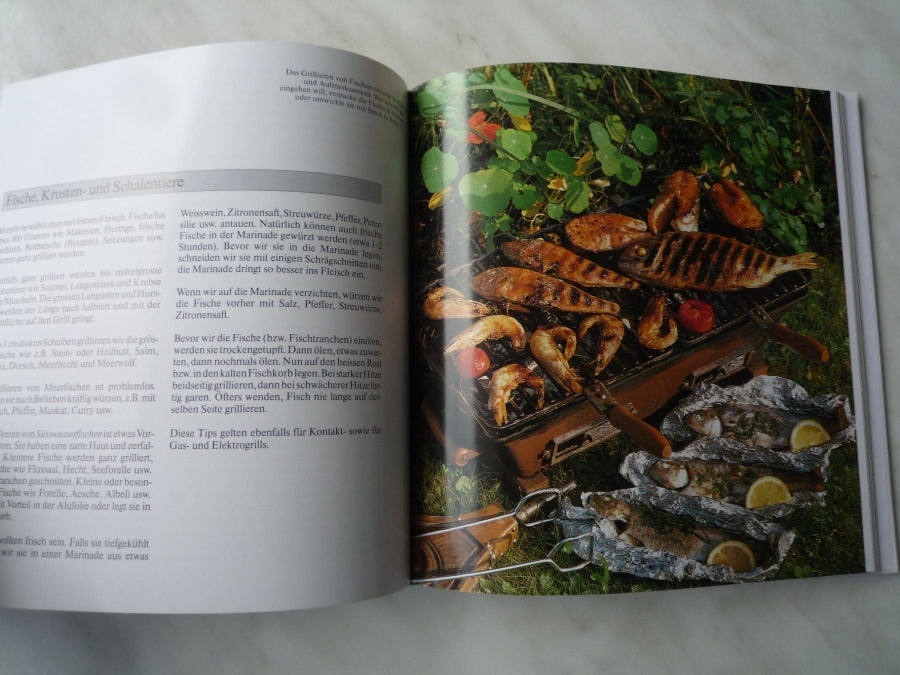 Libri: Kochen und Essen im Freien – Usato da Rafz venduto da Sonnenblume305 1
