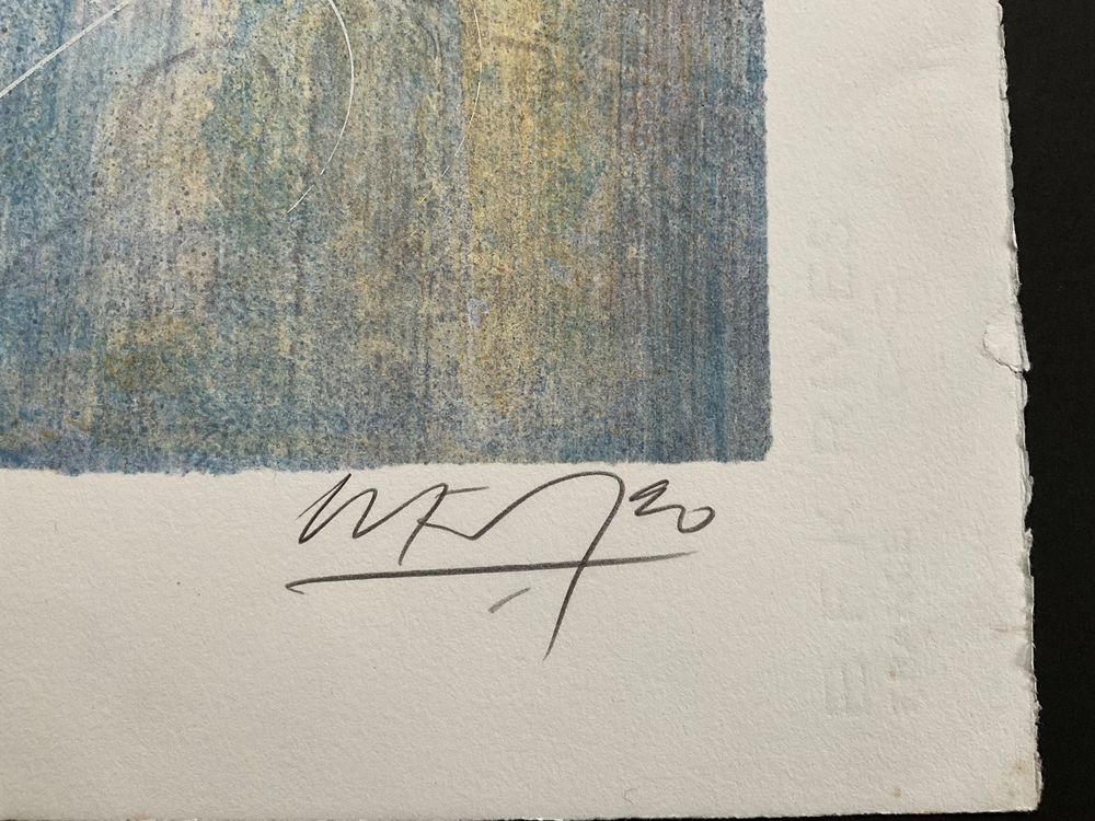 Litho - Alban Welti (Gebraucht) in Pieterlen für CHF 30 – mit Lieferung ...