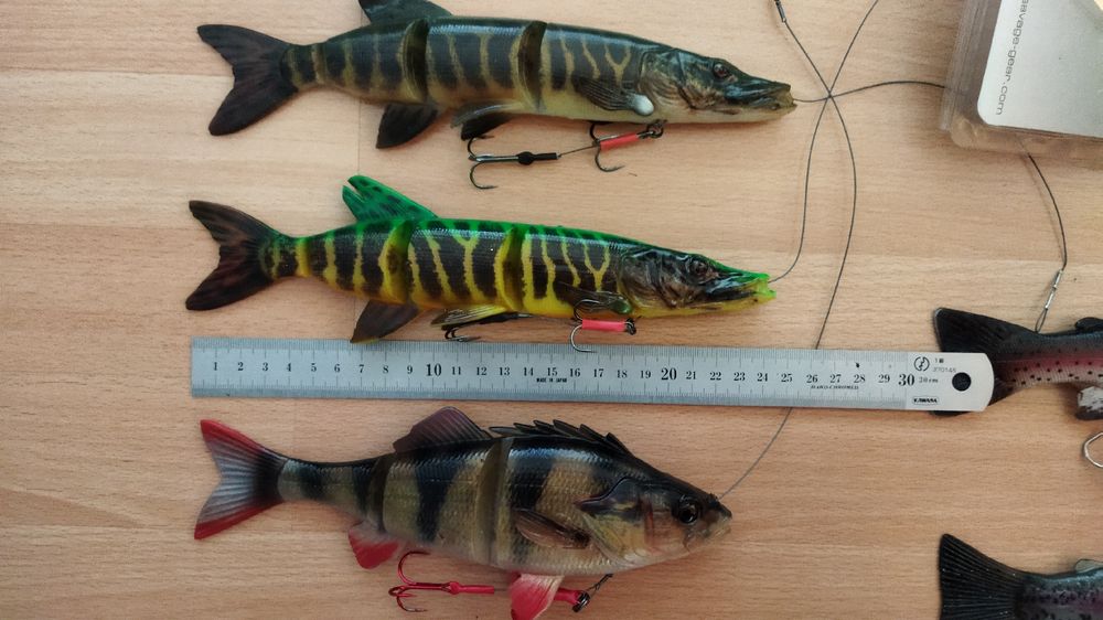 Schleppköder Swimbaits, SG Line Thru Roach Trout 25 cm (Neu (gemäss ...