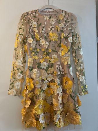 Super attraktives Blumen-Mesh-Kleid, Gr. XS, beige-gelb-grün