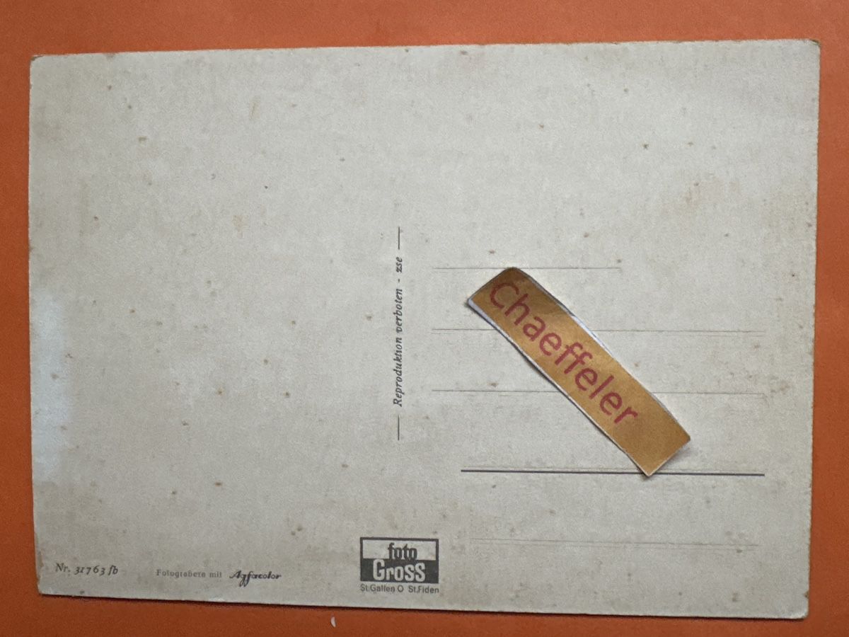 Cartoline postali: Arbon am Bodensee – Usato da Zürich venduto da Chaeffeler 1