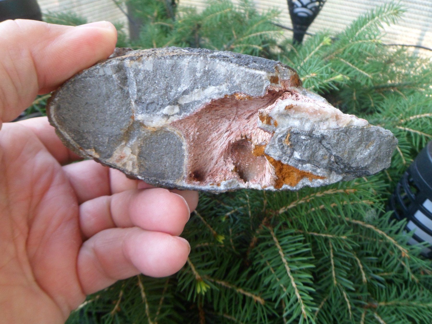 Fossili: Ammonitstück dreiteilig. Schweiz – Usato da Affoltern am Albis venduto da Fossil60 6