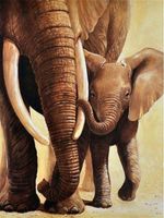 Diamond Painting Elefant (151)