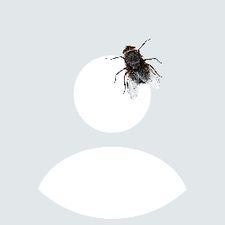 Profile image of Kathaharina1
