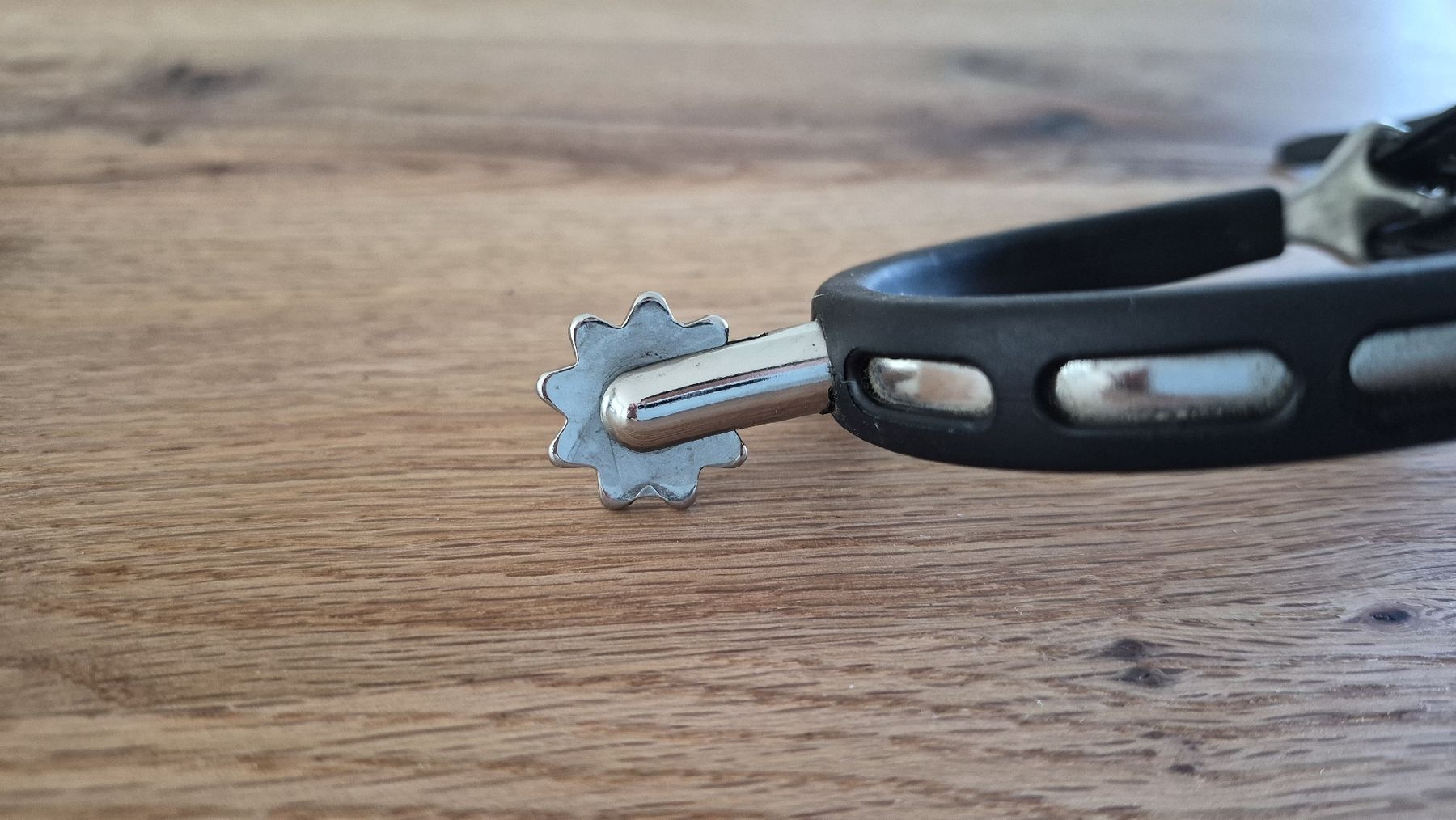 Selle & Accessori: Sprenger Sporen mit Rad – Nuovo (secondo la descrizione) da Wangs venduto da mar_jx28 1