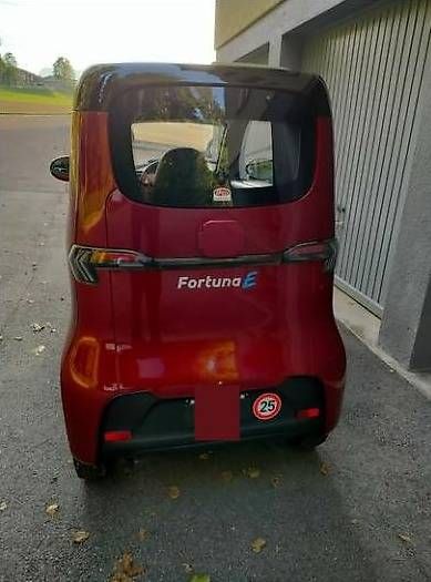 Veicoli elettrici: Fortuna Car – Usato da Perlen venduto da Pinderbitzin 4