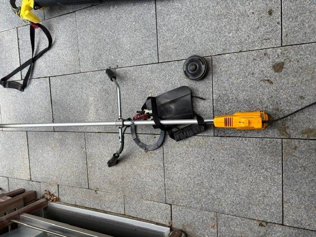 Ryobi Tutti gli attrezzi: Freischneider – Usato da Zumikon venduto da Karin54 1