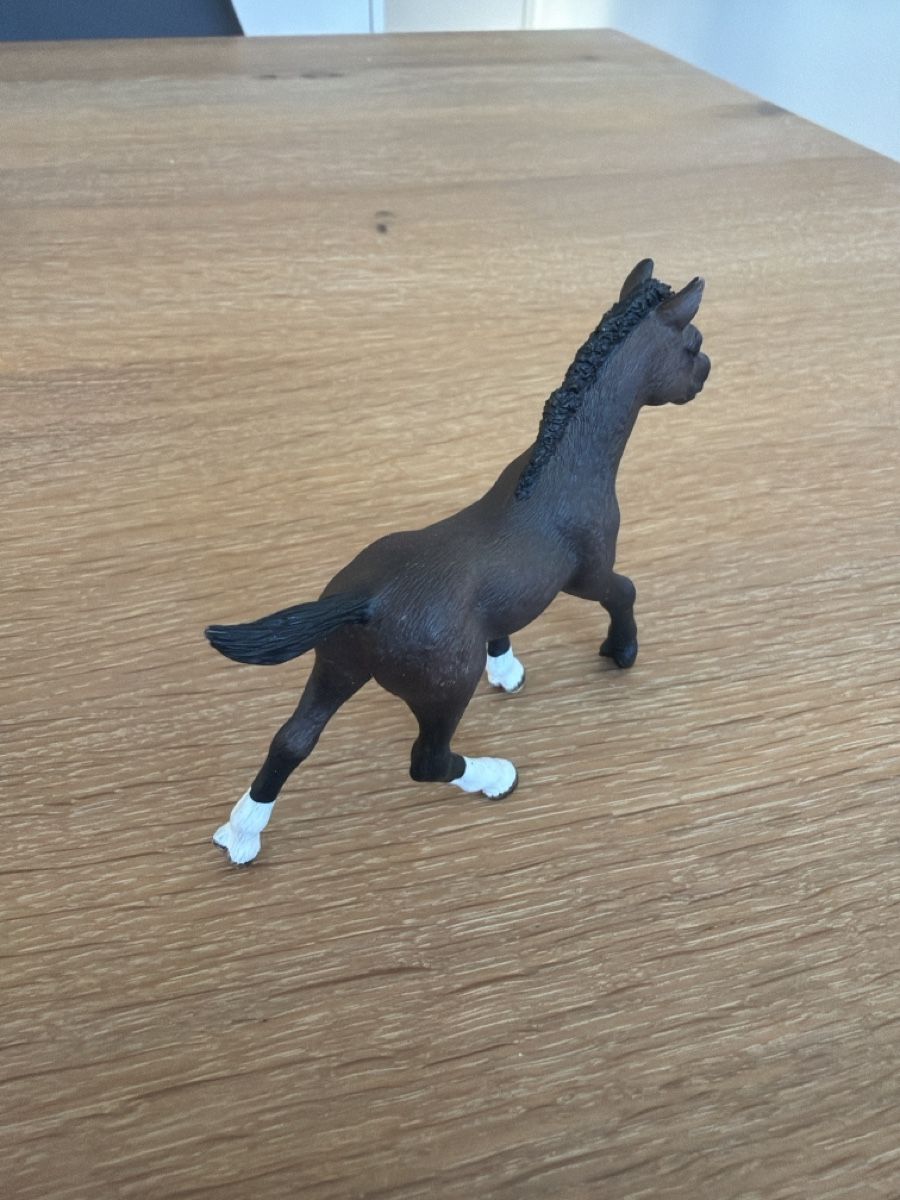 Schleich Giocattoli: Schleich Fohlen braun  – Usato da Uznach venduto da Player6 2