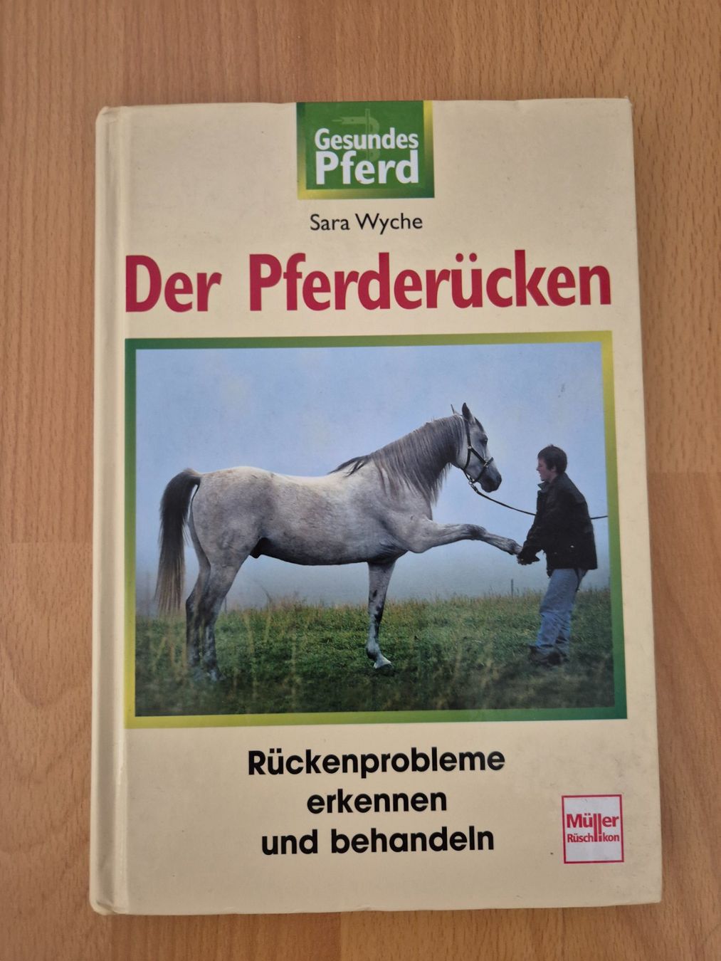 Brides, licols: Pferdefachbuch – Neuf (Voir description) à Meggen par Orrinka20