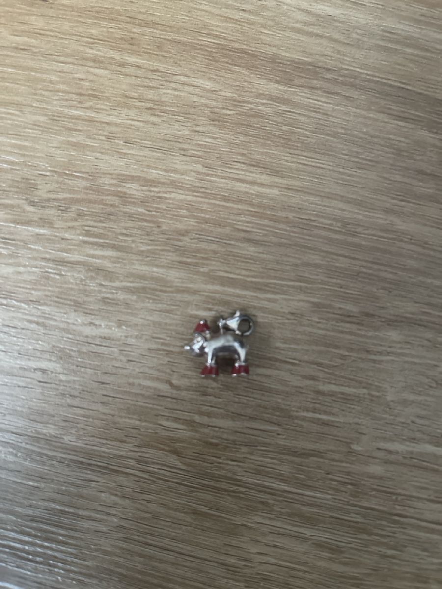 Thomas Sabo Ciondoli: Thomas Sabo Charm kleines Schwein mit Mütze  – Usato da Bassersdorf venduto da Sandy456 2
