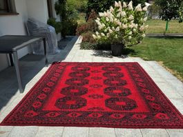 grosser Afghan-Teppich, handgeknüpft, reine Wolle