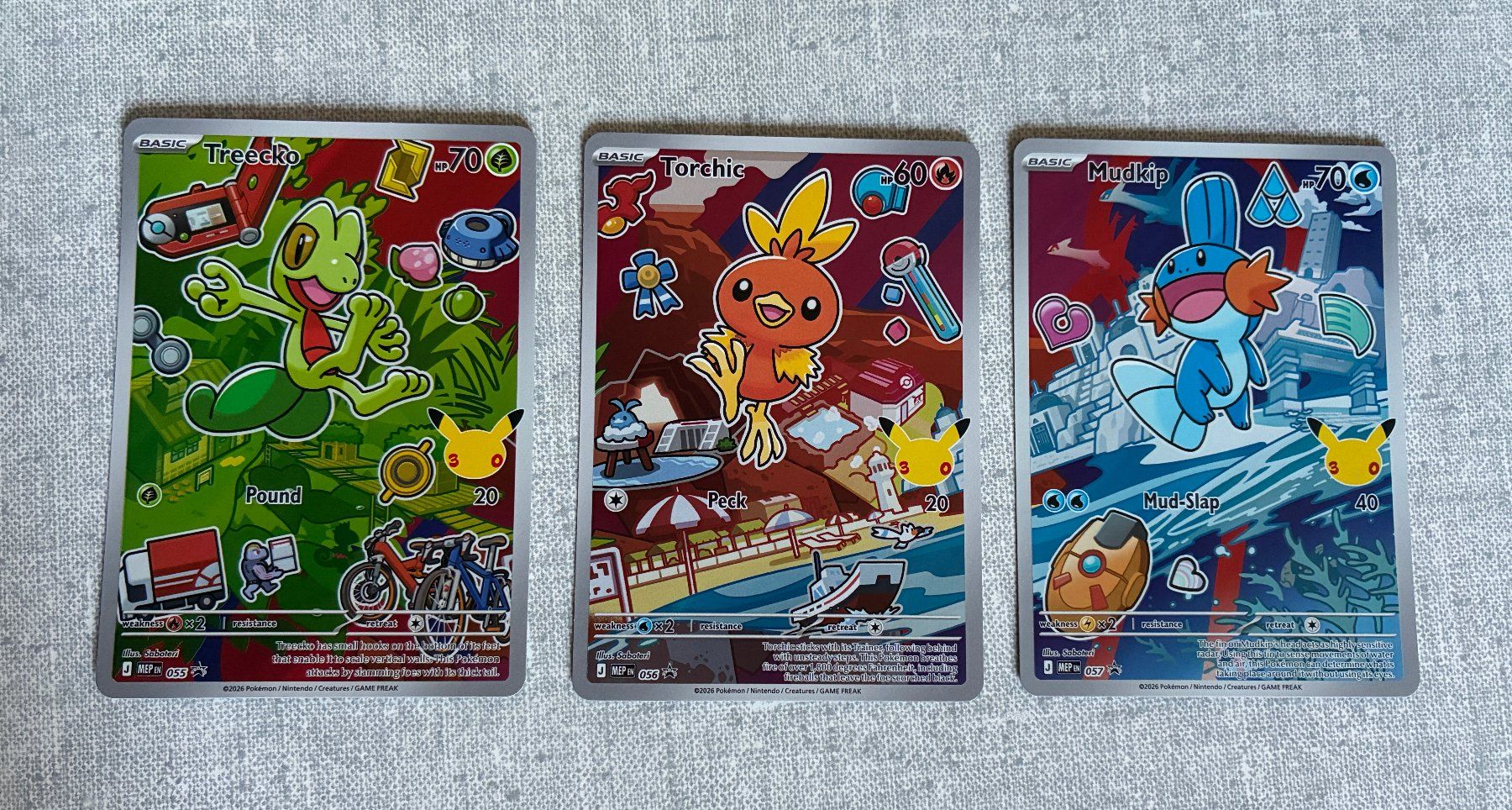 Pokémon Carte collezionabili: First Partner Treecko Torchik Mudkip (Boosterfrisch) English – Nuovo (secondo la descrizione) da Bern venduto da remooda