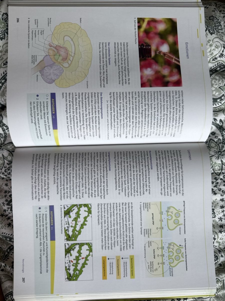 Libri: Natura 9-12 Klett – Nuovo (secondo la descrizione) da Herrliberg venduto da nuria_t 4