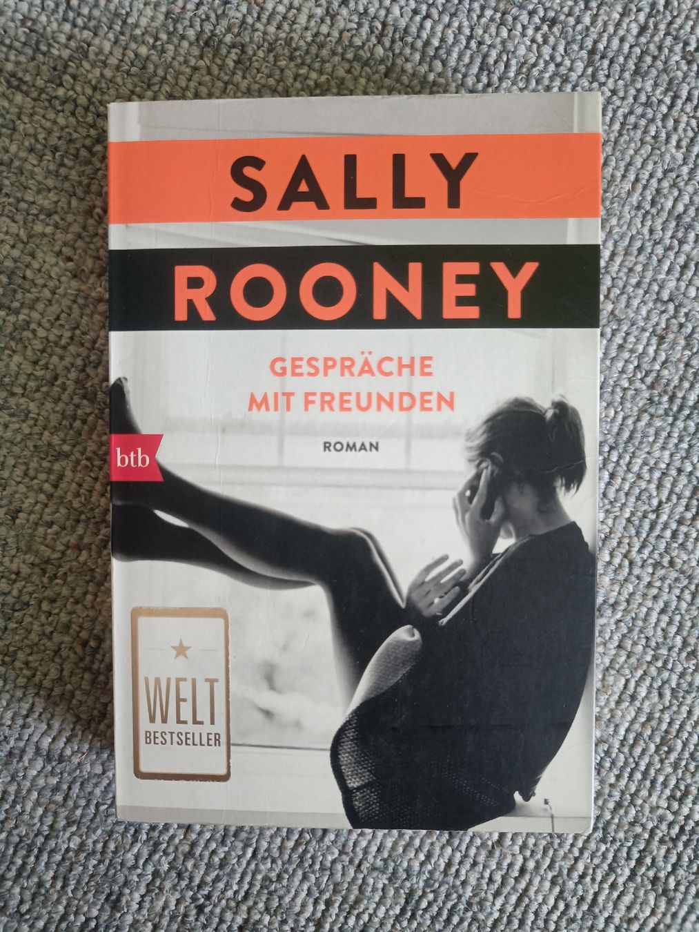 Libri: Sally Rooney Gespräche mit Freunden – Usato da Jaberg venduto da urig17.