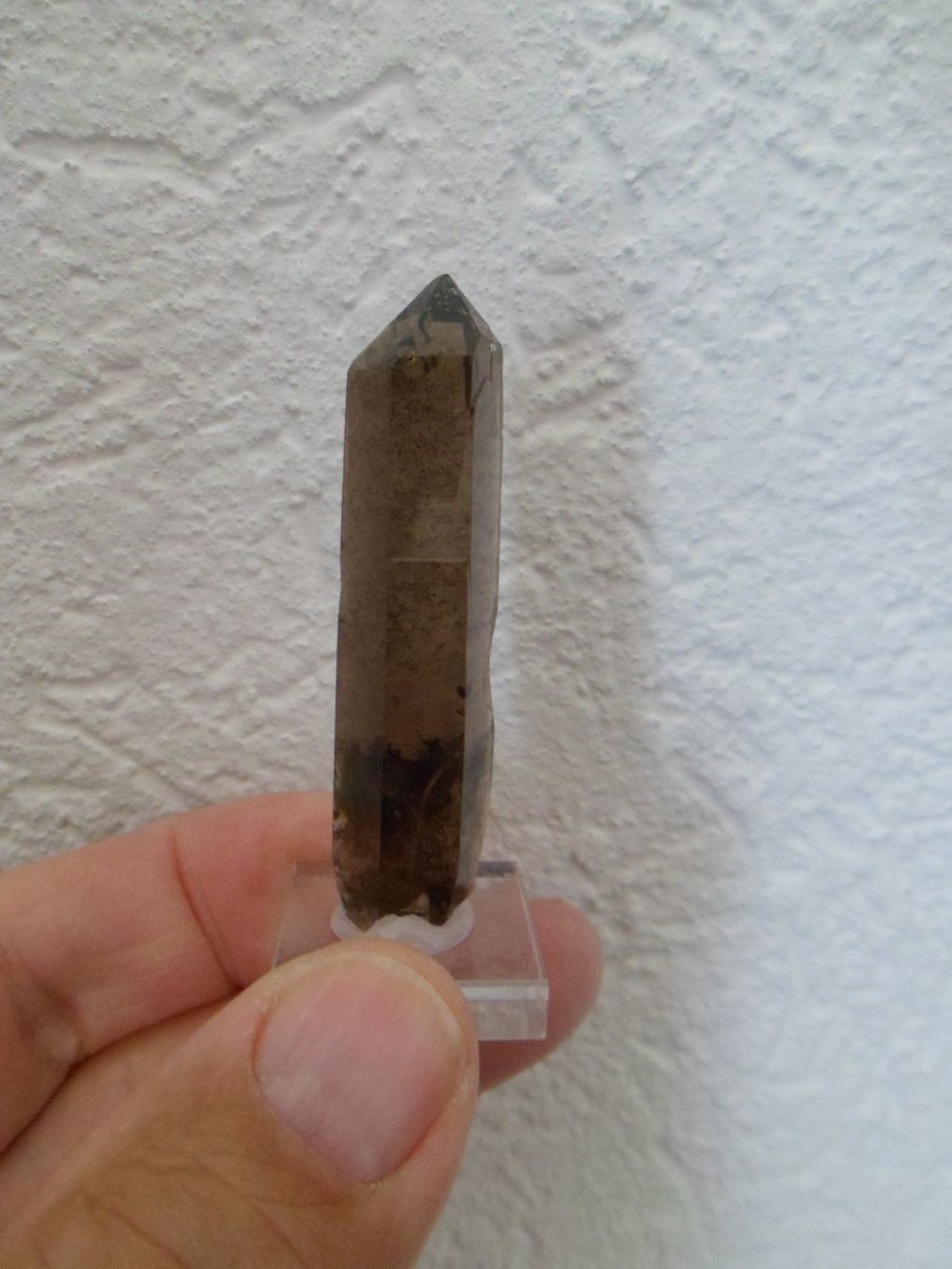 Minerali & Pietre curative: Rauchquarz Schweiz – Usato da Affoltern am Albis venduto da Fossil60 2