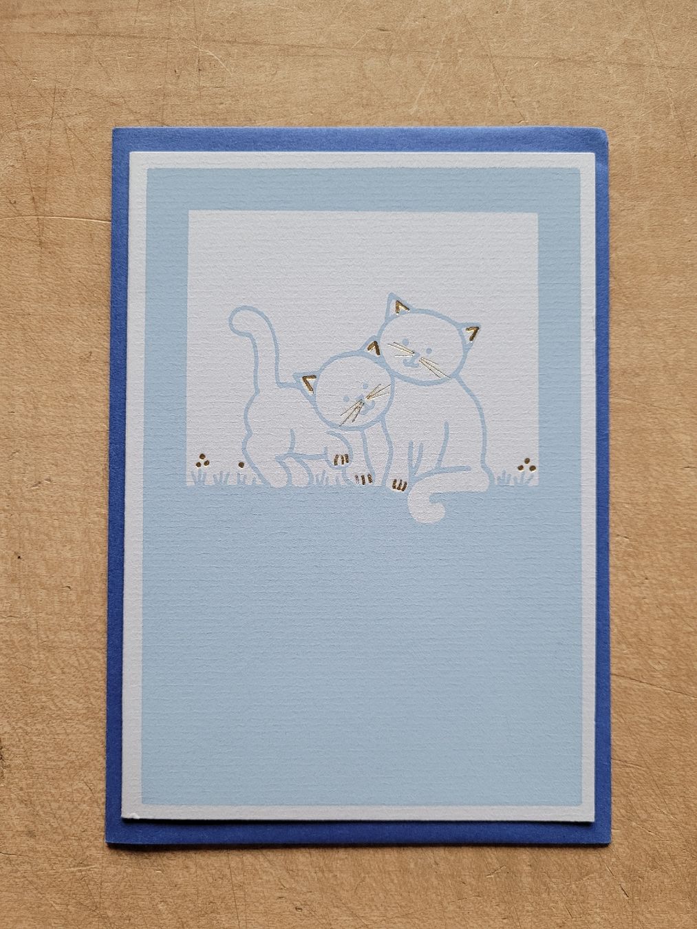 Cartoline: 5 hübsche Karten "Katzen" + Couverts, Papeterie – Nuovo (secondo la descrizione) da Zürich venduto da Engiadinabassa 2