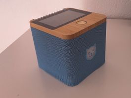 Tigerbox blau, mit fehlendem Boden