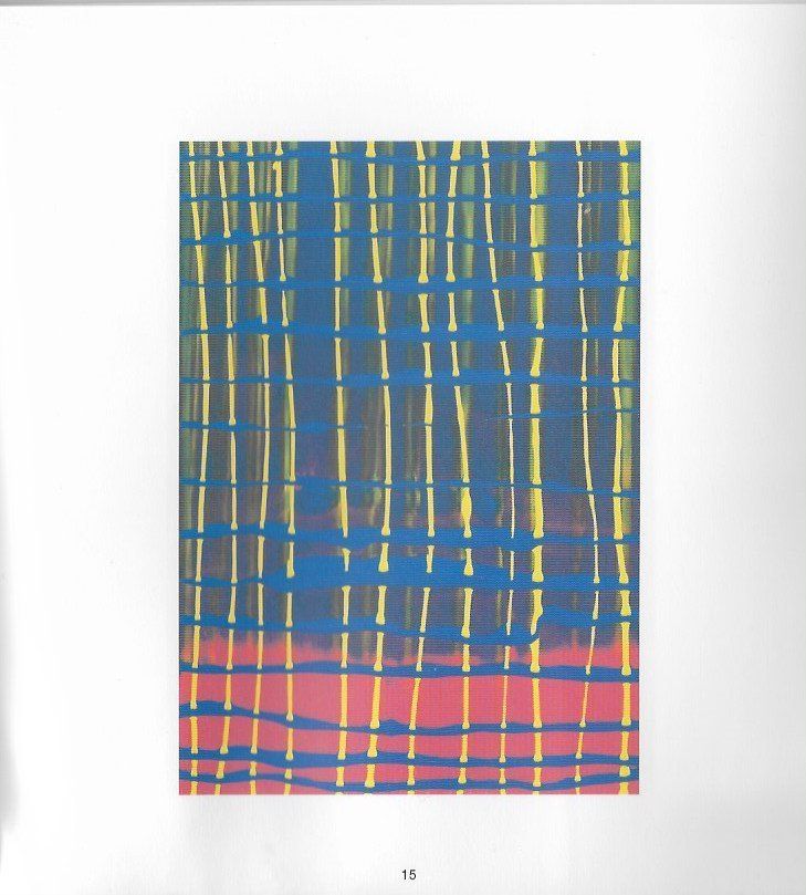 Libri: Elmar Mayer Serigrafien – Usato da Altstätten SG venduto da alpalfa