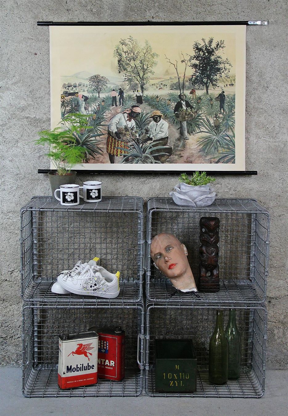 Poster & Bilder: Schulwandbild "Ananasernte, Ananas" – Gebraucht aus Birrwil von brandschatz_birrwil 6