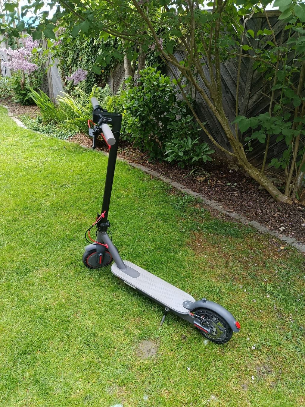 Scooter: E-Scooter – Usato da Oberriet SG venduto da Allanhurst 7