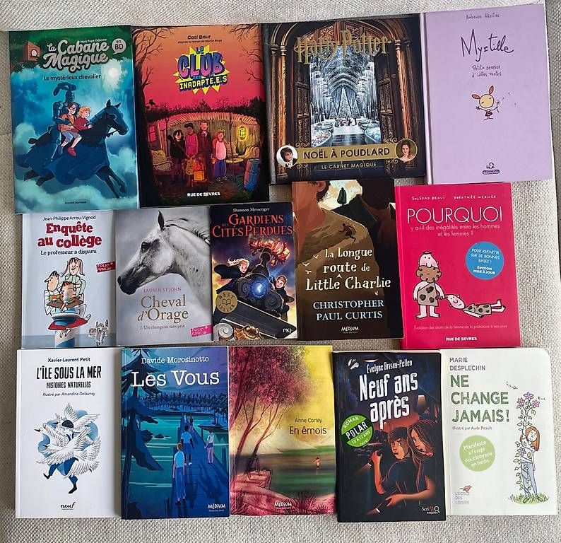 Bücher: Divers romans preado (9-13 ans) – Gebraucht aus Neuchâtel von sar_j99n