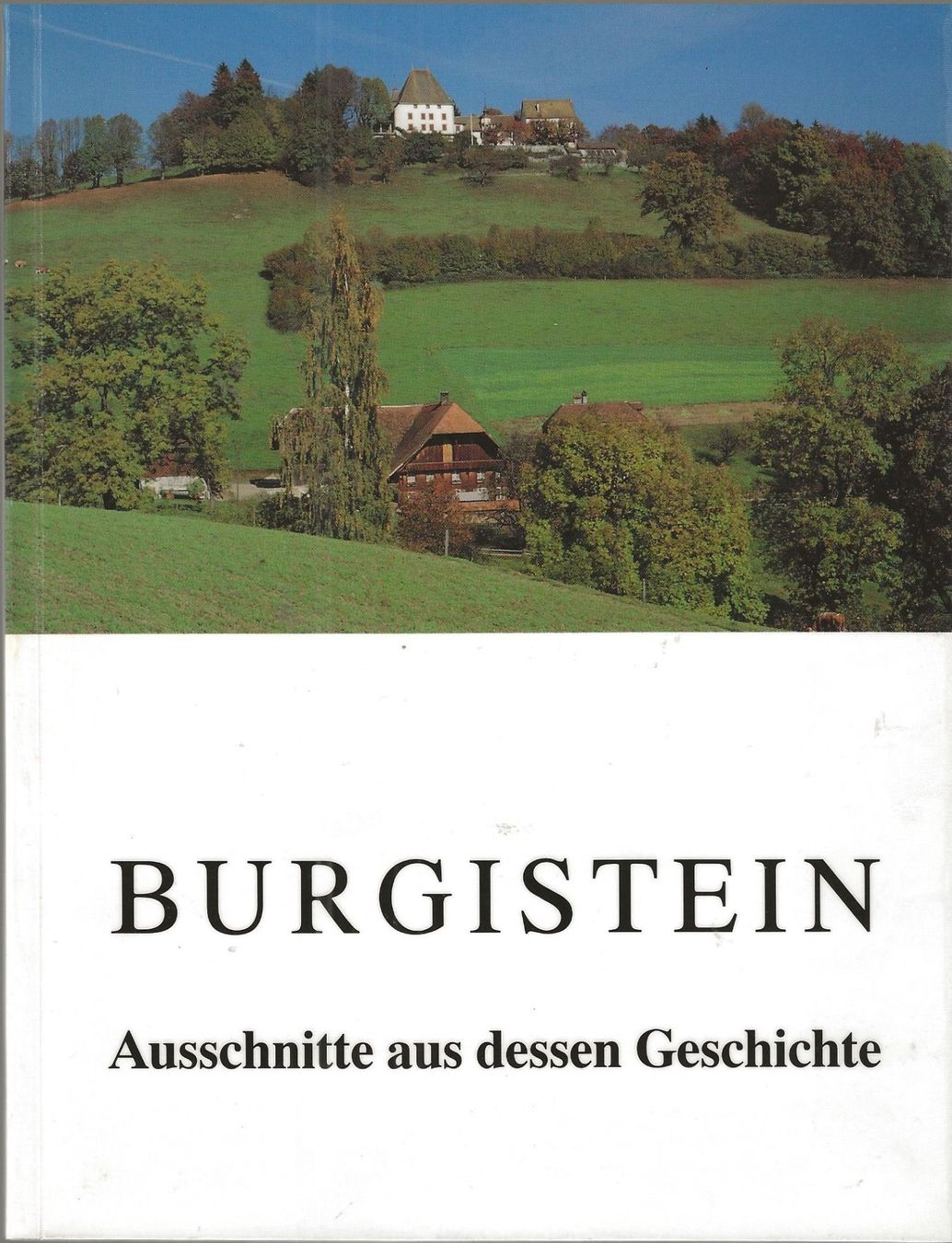 Libri: Burgistein Ausschnitte aus dessen Geschichte – Usato da Bern venduto da Grindelwaldaus