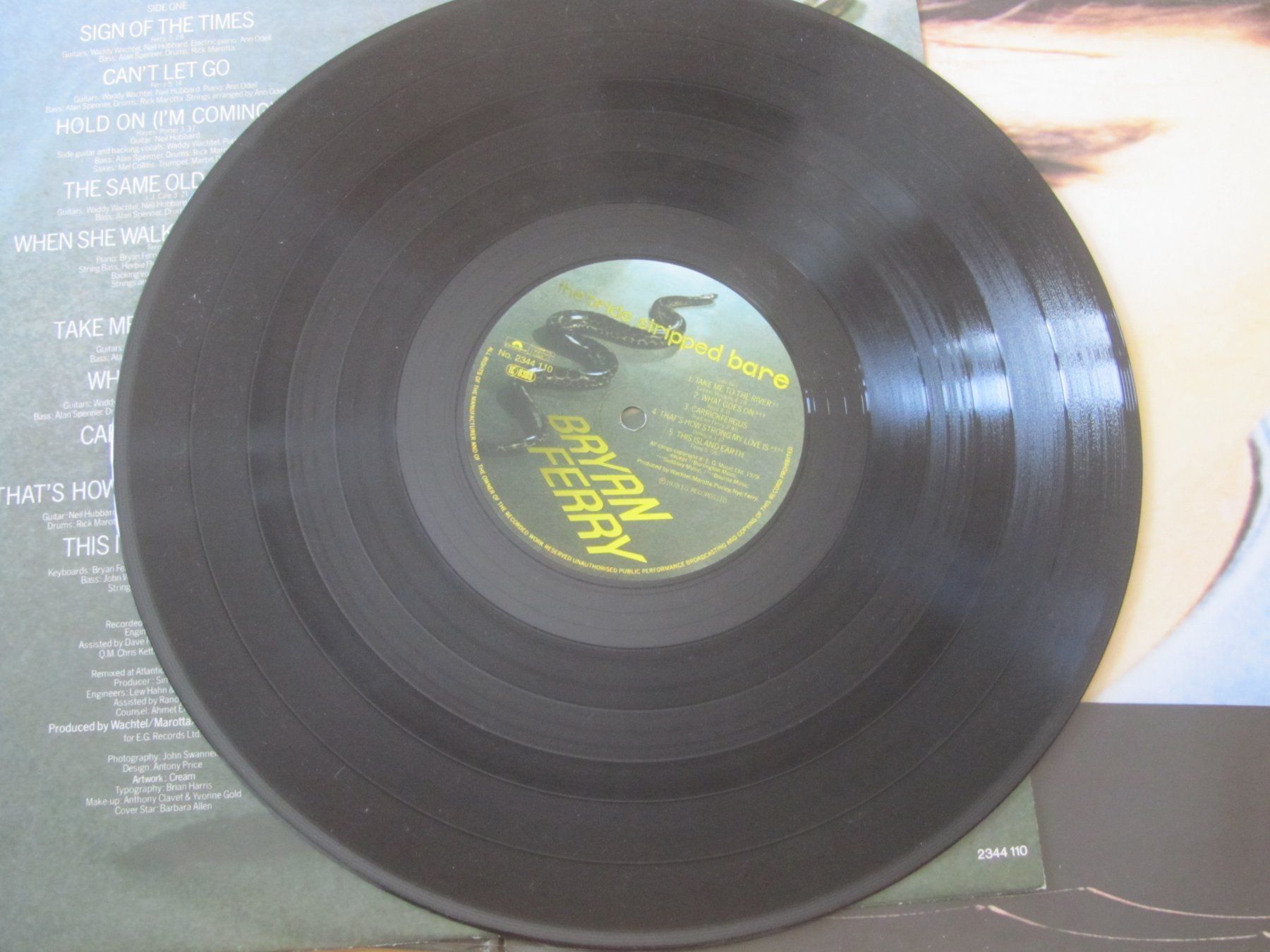 Dischi in vinile: Bryan Ferry - The Bride Stripped Bare - Vinyl LP – Usato da Seengen venduto da mikelele 3