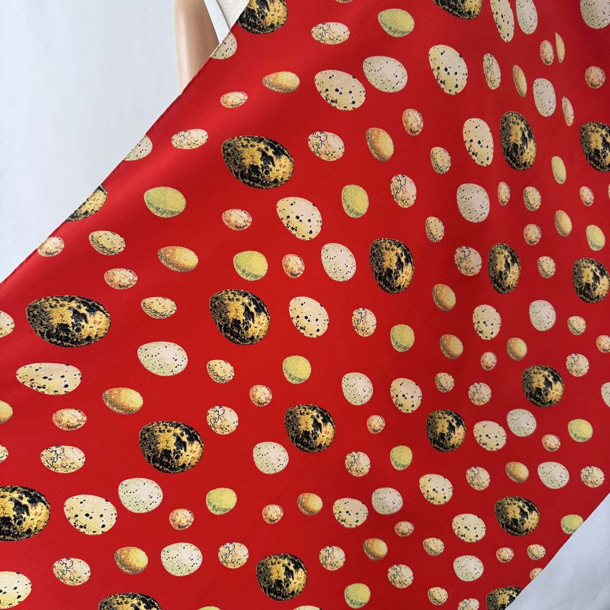Foulard & Sciarpe: ROBERTO ANGELICO Silk Scarf – Usato da Emmen venduto da Colette-Juliette 3