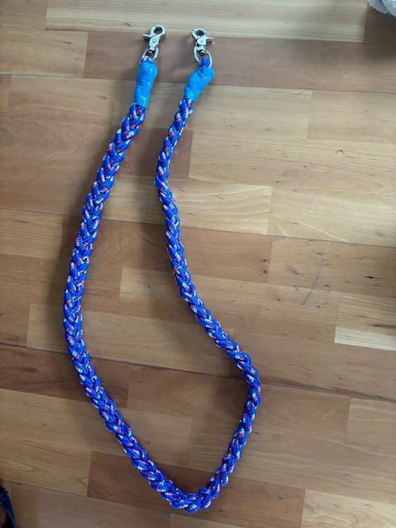 Reitzügel 1