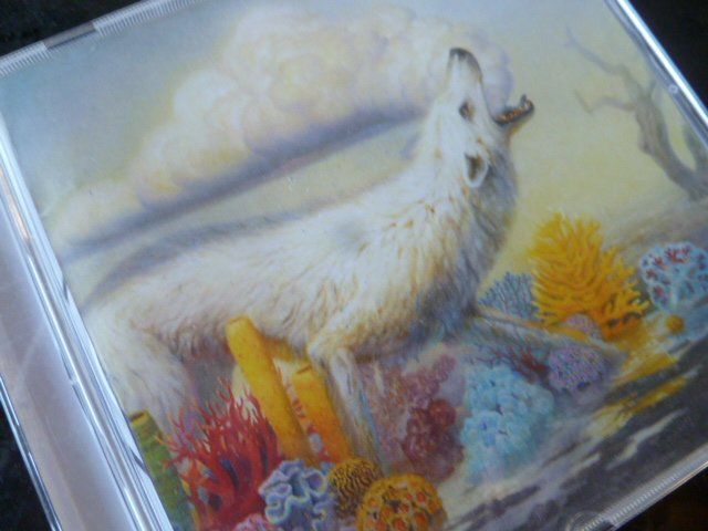CD: Rival Sons CD – Usato da Zofingen venduto da sosalinos01